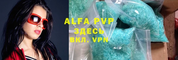 стафф Алексин
