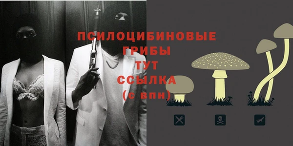 стафф Алексин