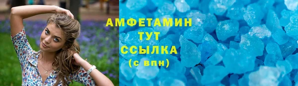 прущие грибы Алзамай