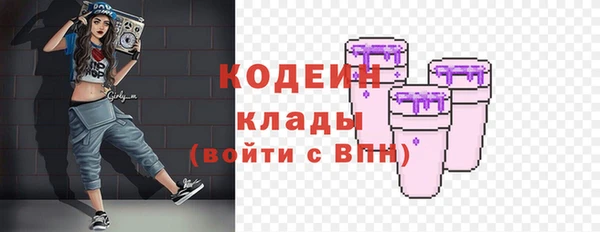 прущие грибы Алзамай