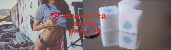 прущие грибы Алзамай