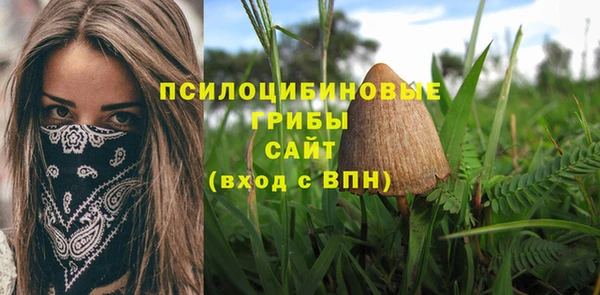 ГАЛЛЮЦИНОГЕННЫЕ ГРИБЫ Алексеевка