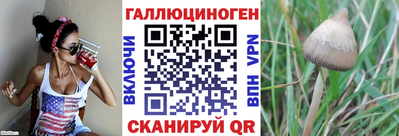 наркотики Арамиль даркнет формула Псилоцибиновые грибы Psilocybe